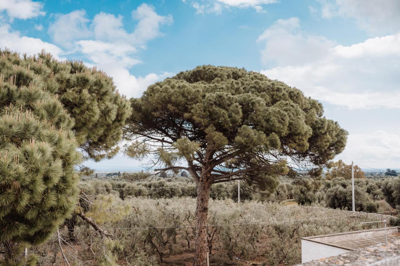 Masseria Casamassima Agriturismo Villa Ostuni Exterior foto