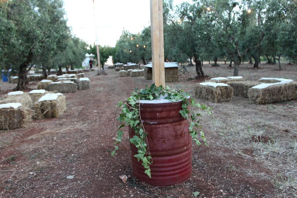 Masseria Casamassima Agriturismo Villa Ostuni Exterior foto