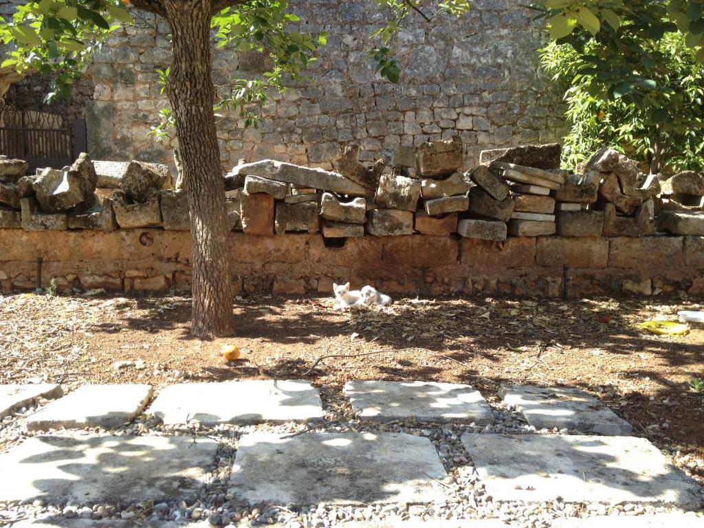 Masseria Casamassima Agriturismo Villa Ostuni Exterior foto